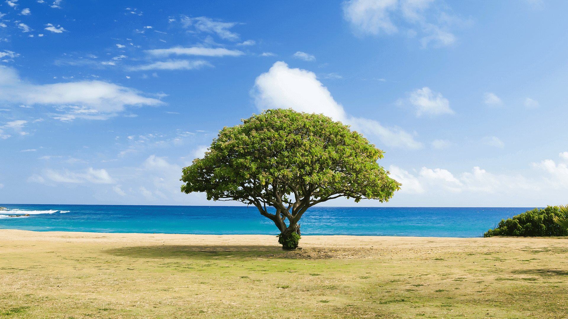 Change Your Mind One Thought At A Time