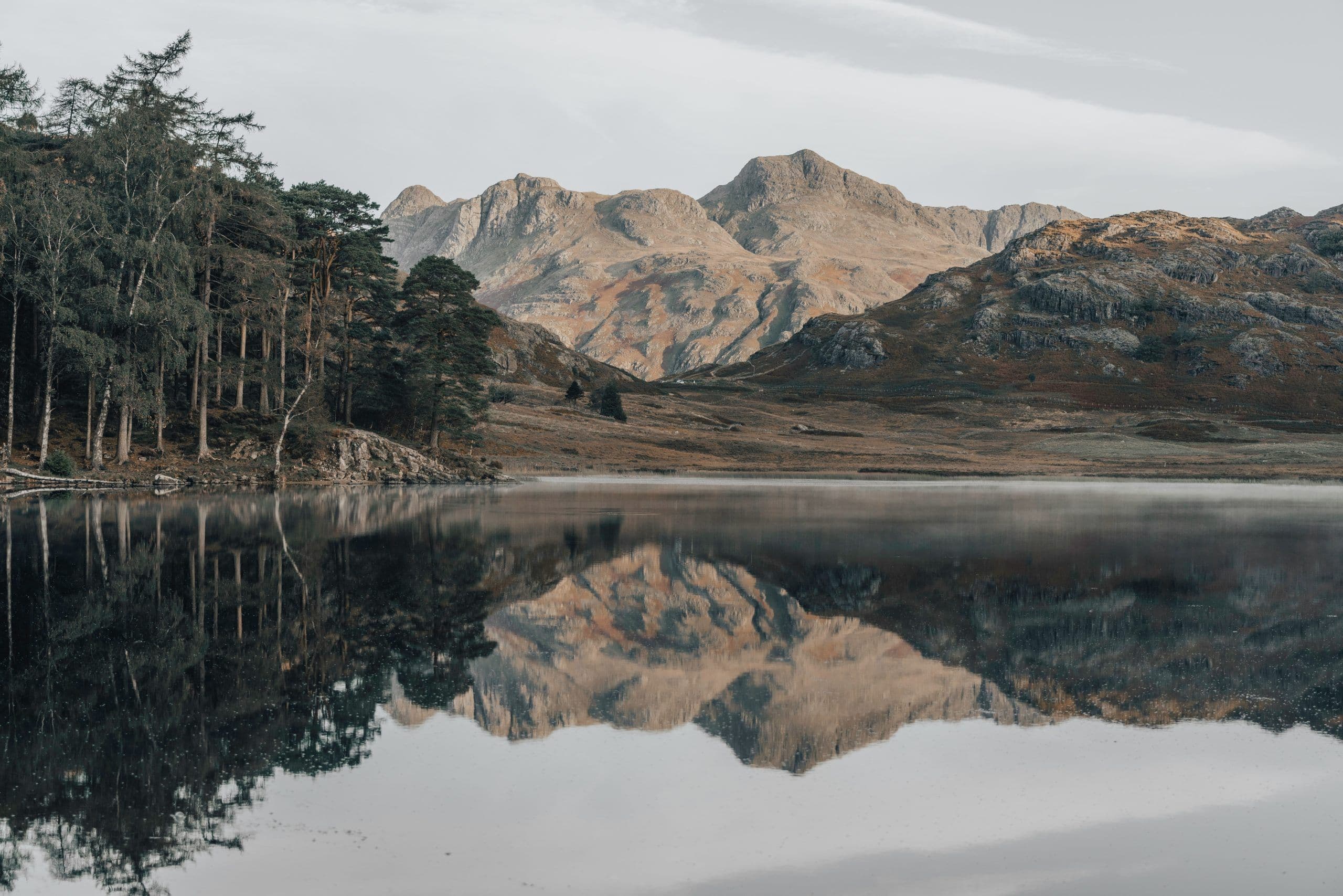 Forever His forever-his