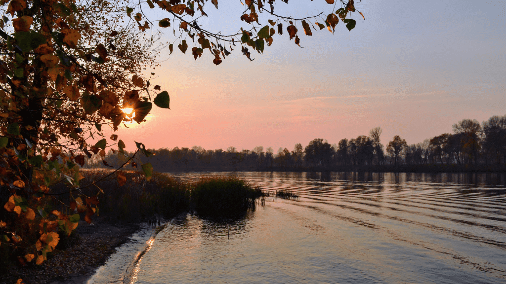 Cared For And Carefree