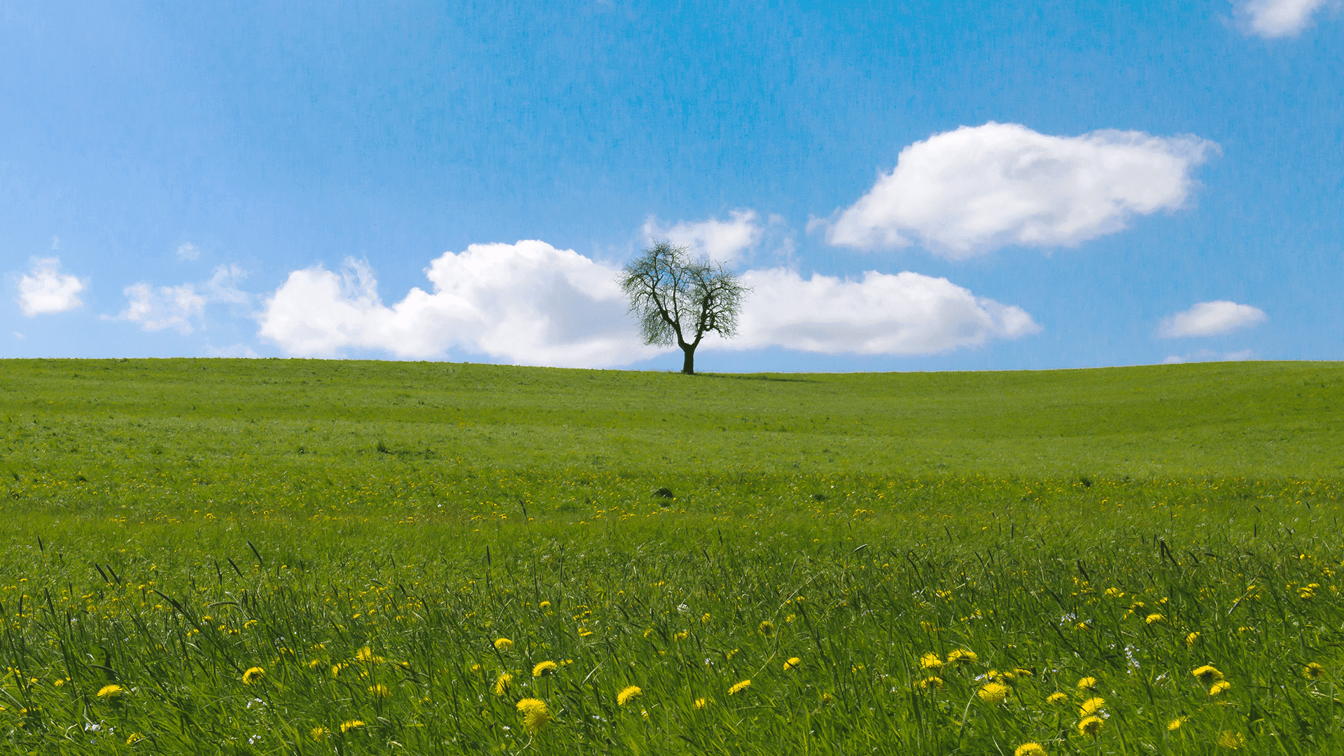 10 Empowering Bible Verses for Strong Women