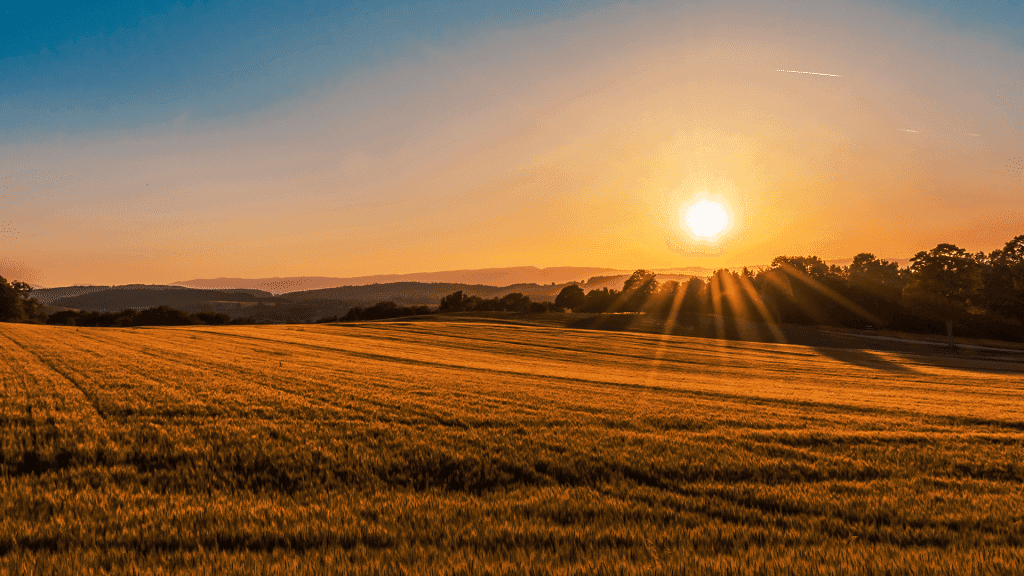 Mastering Money Management: The Parable Of The Talents