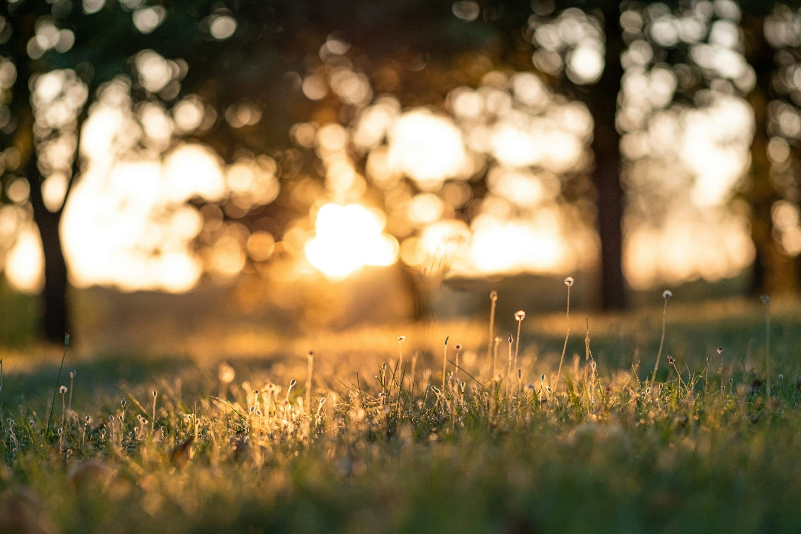 Bible Verses About Rest