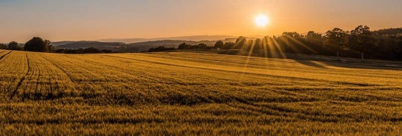 Cómo hacer de la oración un hábito diario