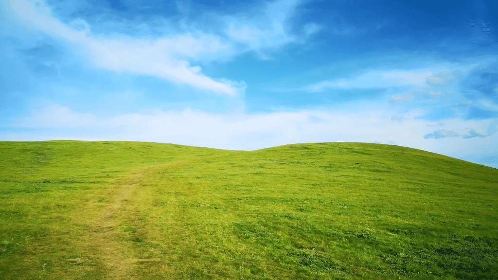 Bible Verses for Mothers