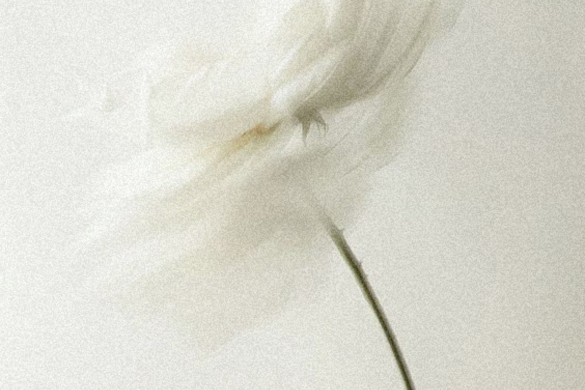 What Is The Best Daily Devotional For Women?