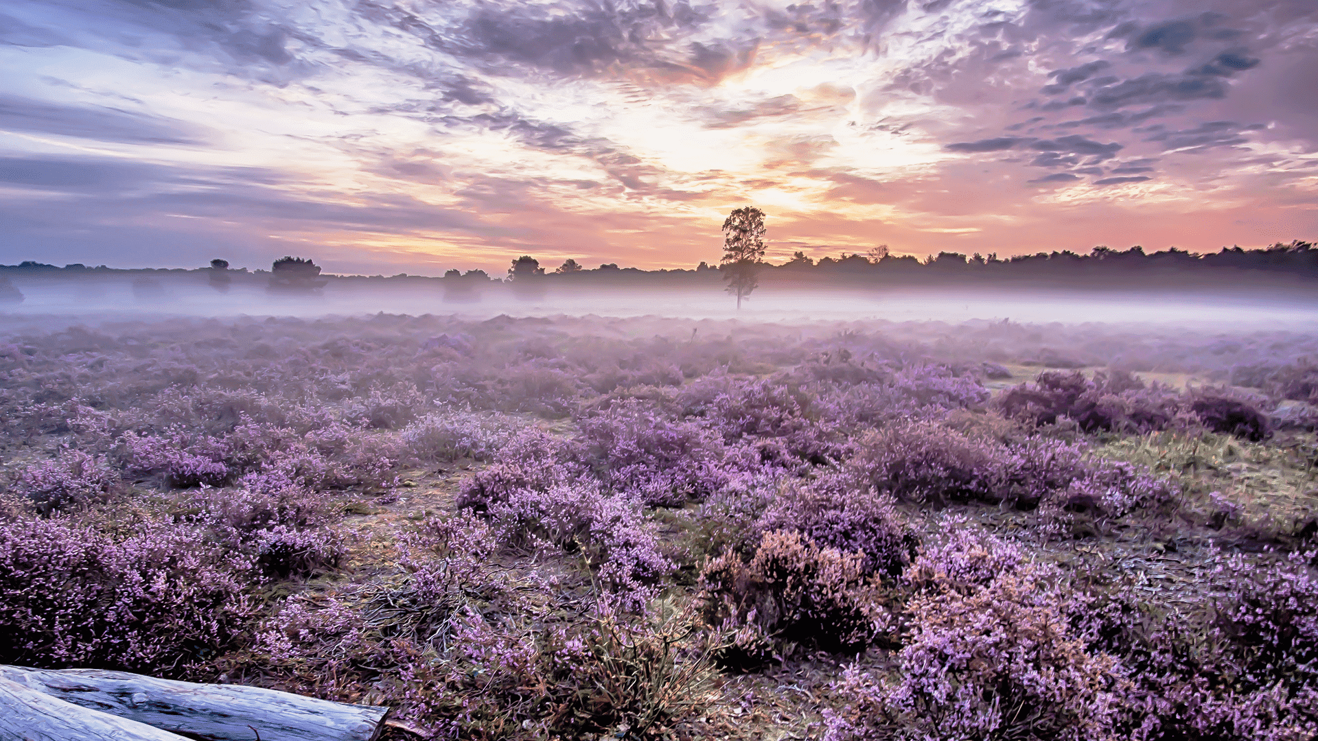 Versículos sobre la Ansiedad