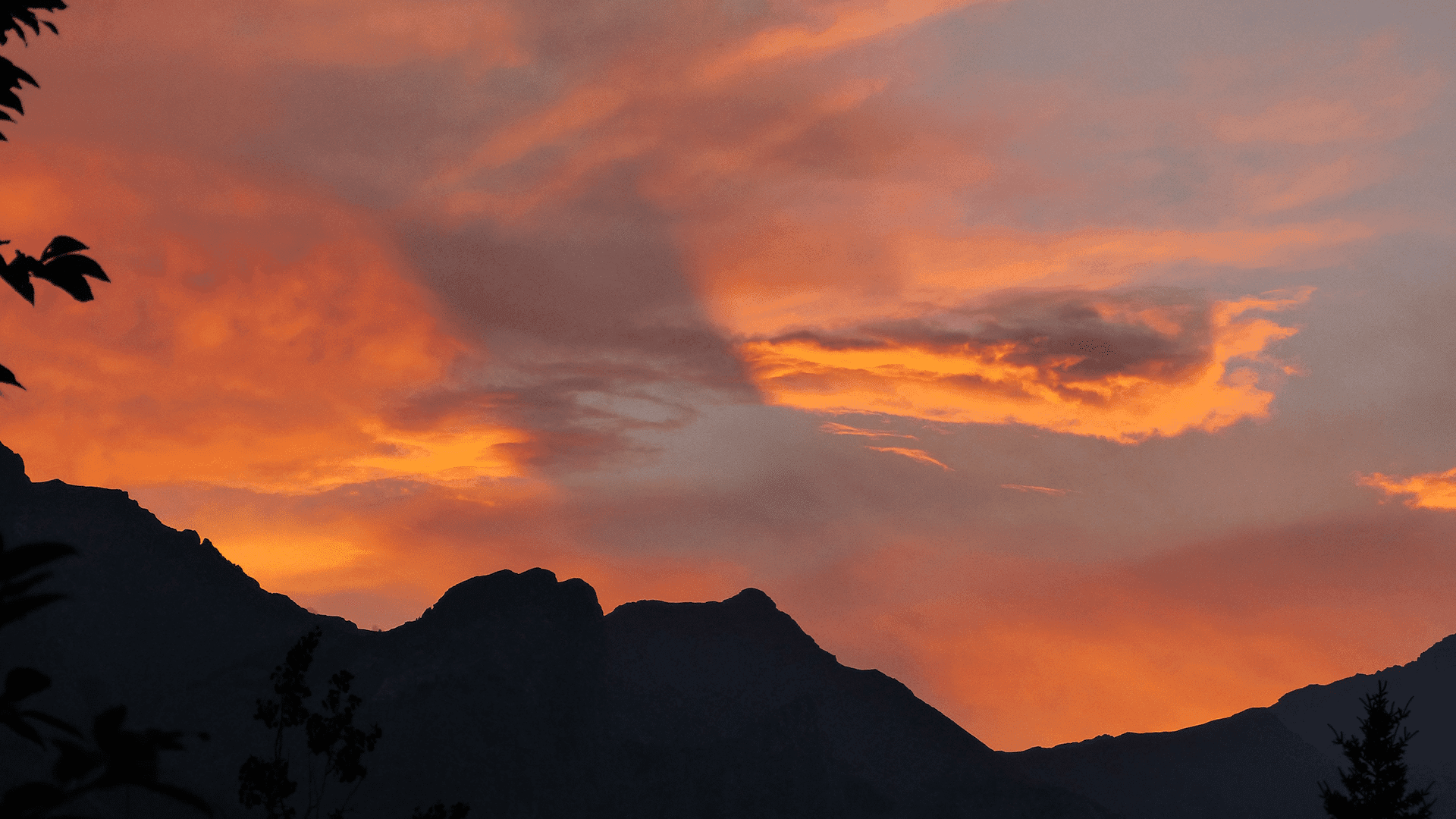 8 Versículos Cortos Fáciles de Memorizar