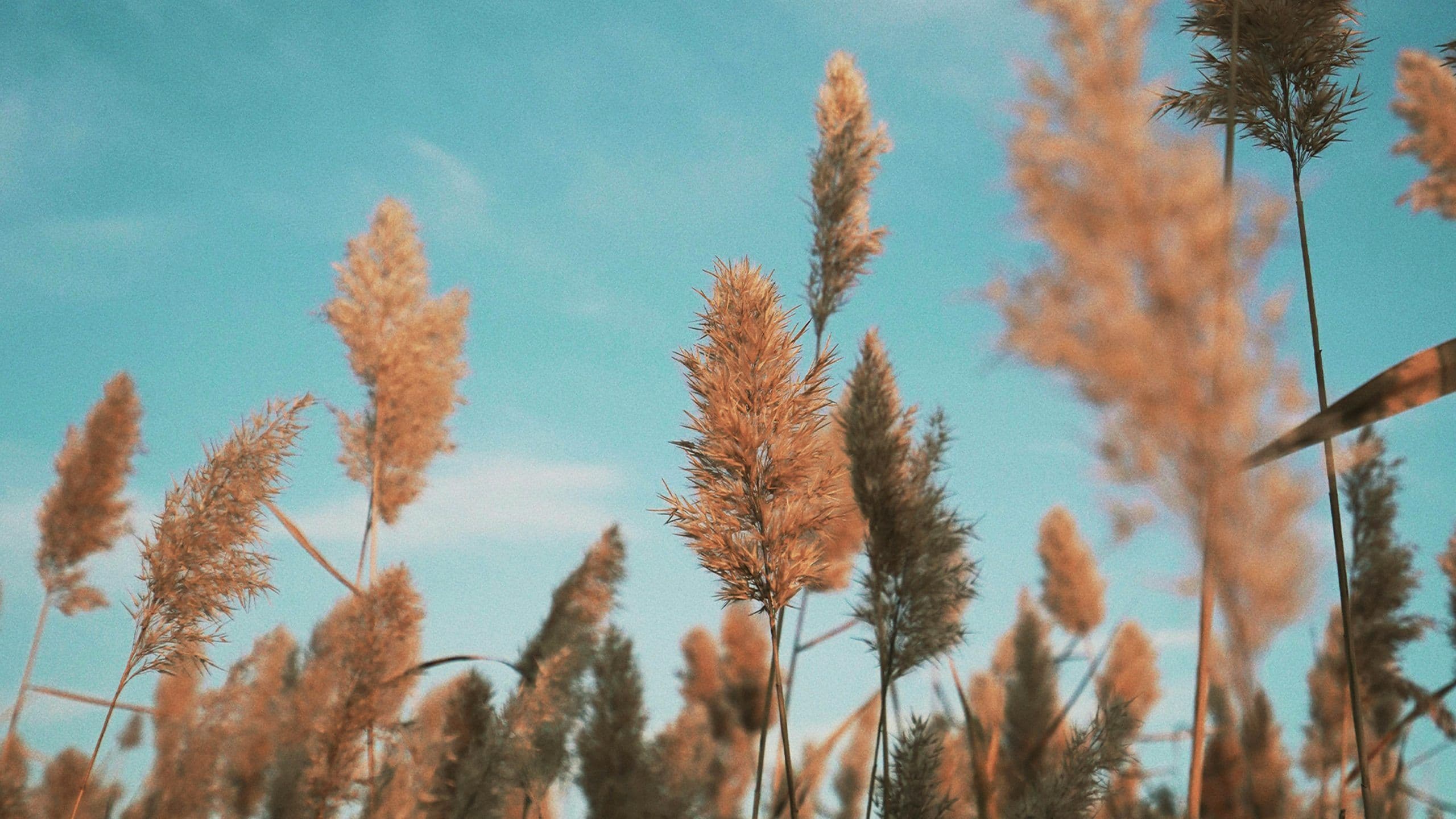 Three Reasons Why Baptism Is Important