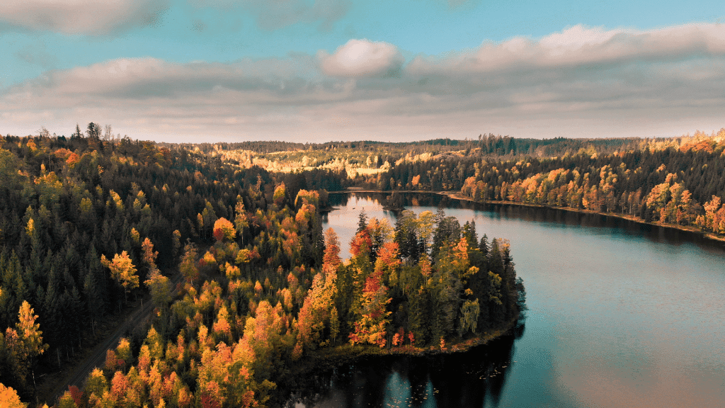 10 Anniversary Bible Verses: Celebrating Love and Commitment