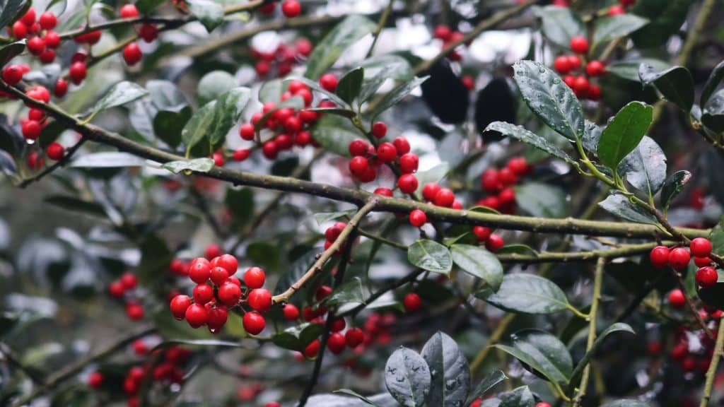 Finding God This Christmas