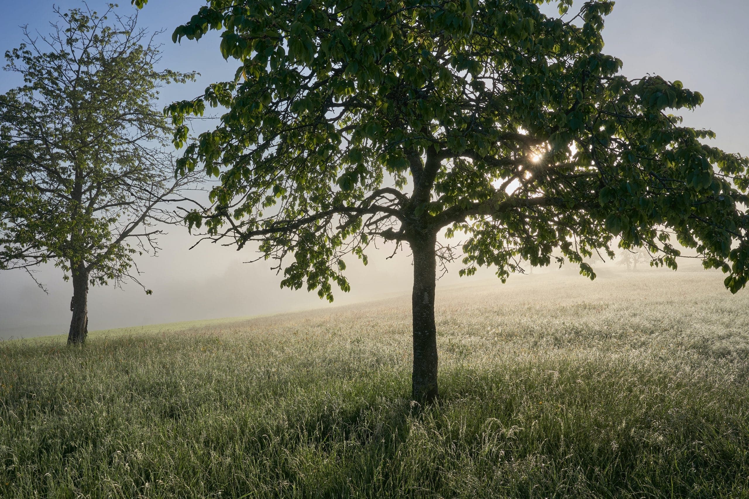 Why Christians Should Practice Breathwork