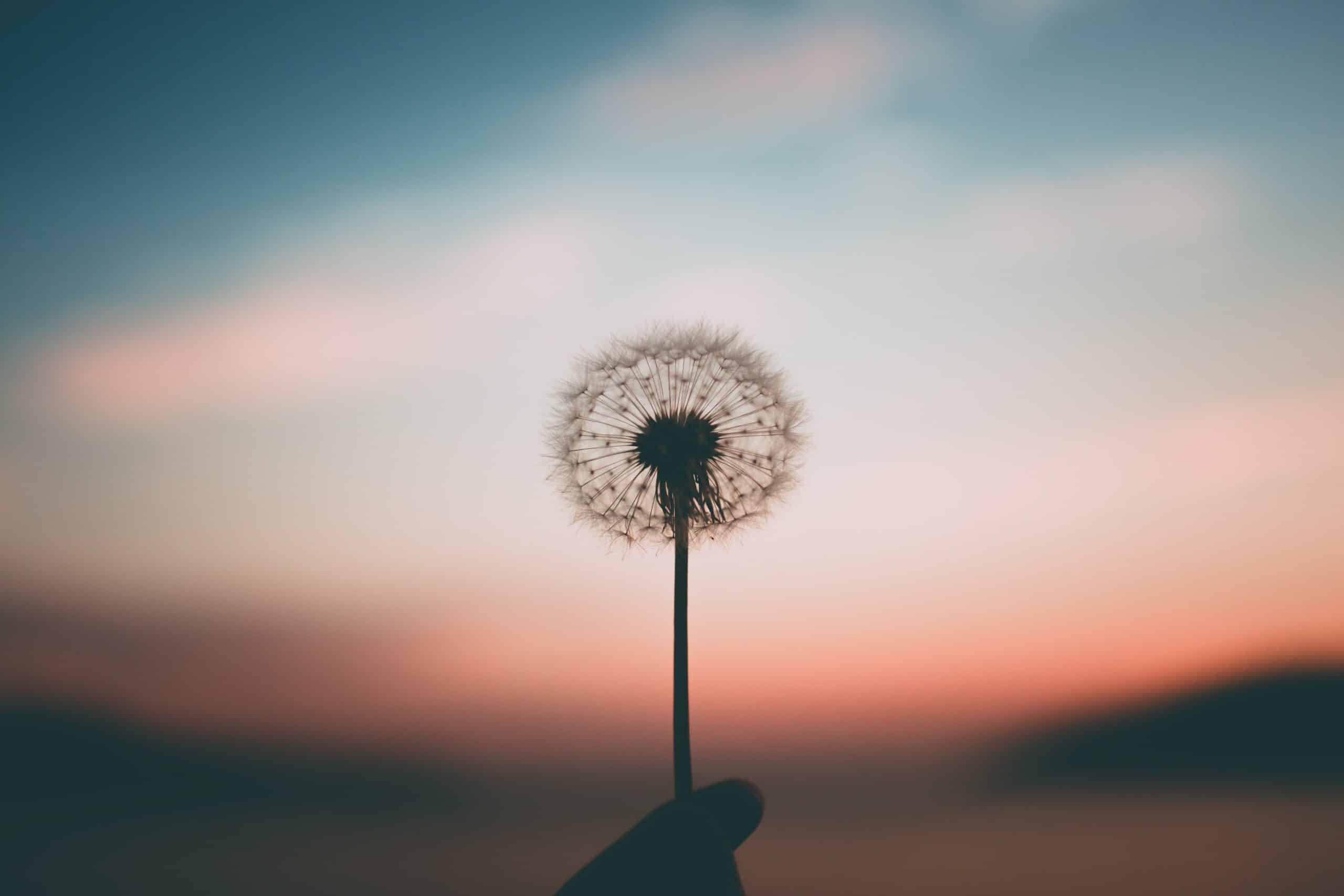 Christianity And Mental Health Awareness Month