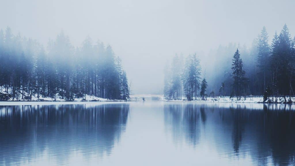 How To Share The Joy Of Christmas With Others