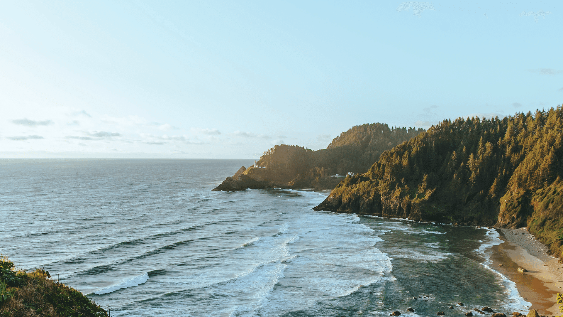 The SOAP Method Bible Study: Transform Your Devotional Routine