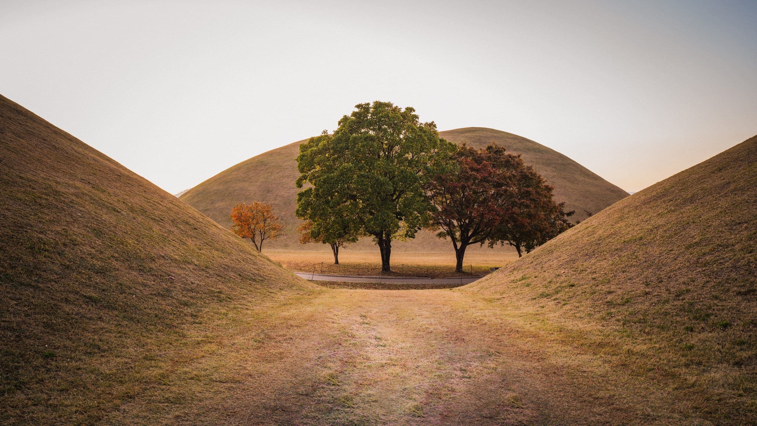 Standing Firm: A Daily Devotional For Men