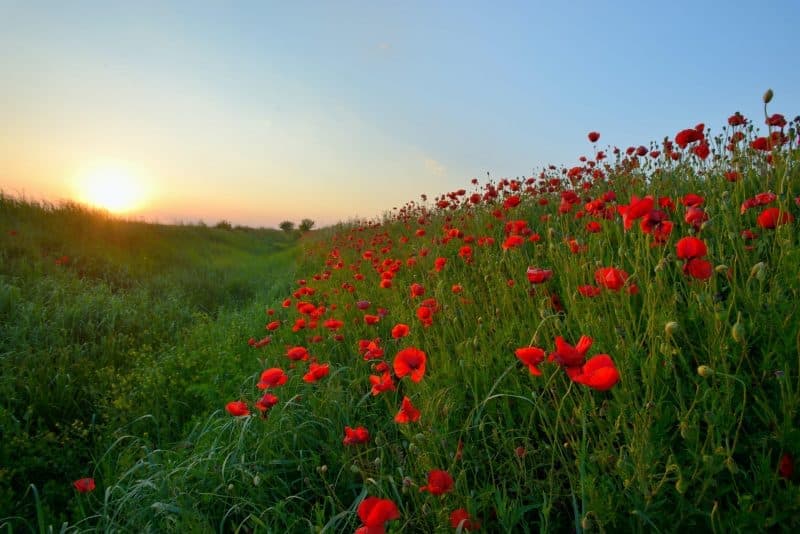 Memorial Day Prayers
