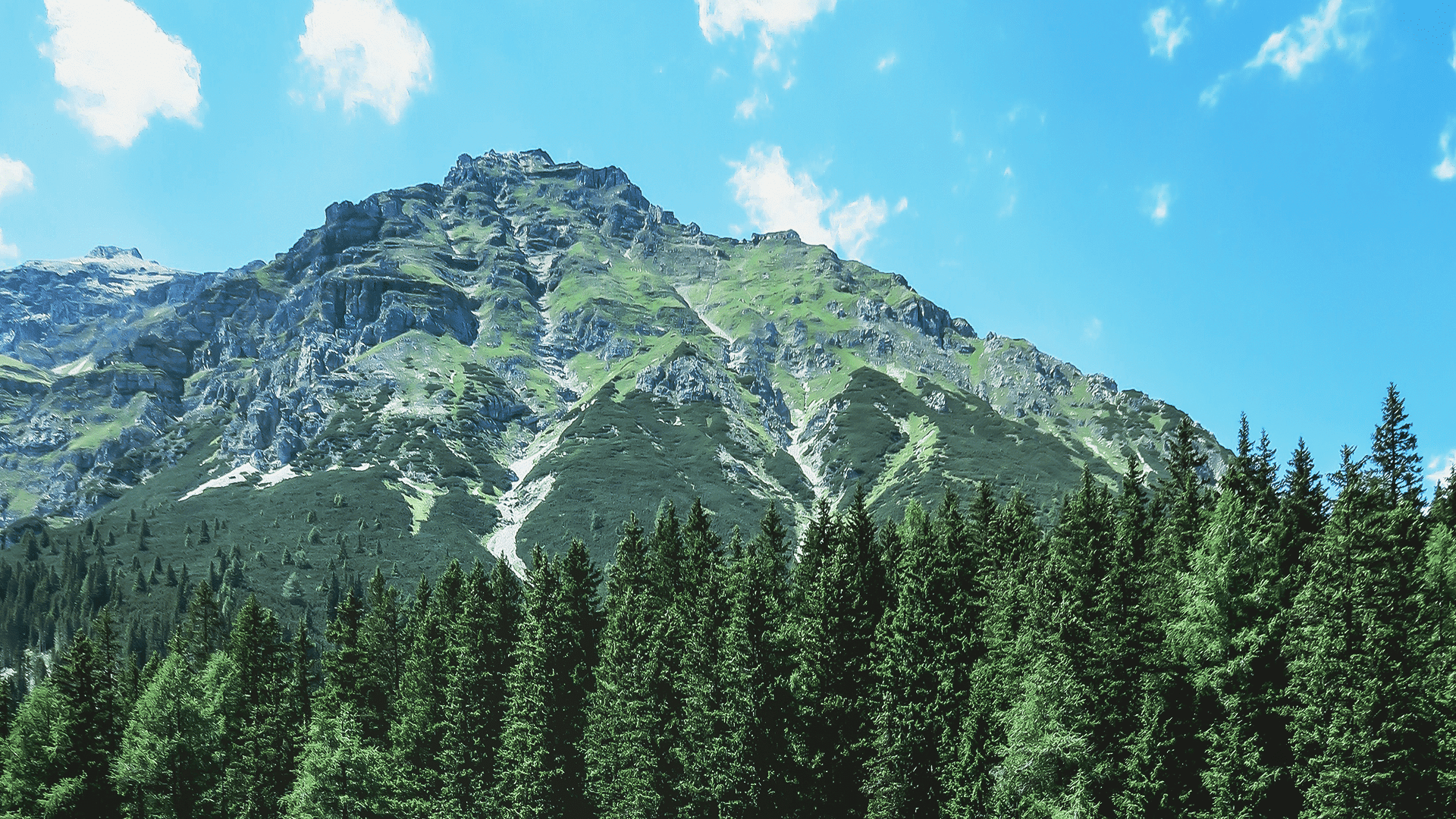 A Proverbs 31 Devotional For Women: Embracing God's Wisdom