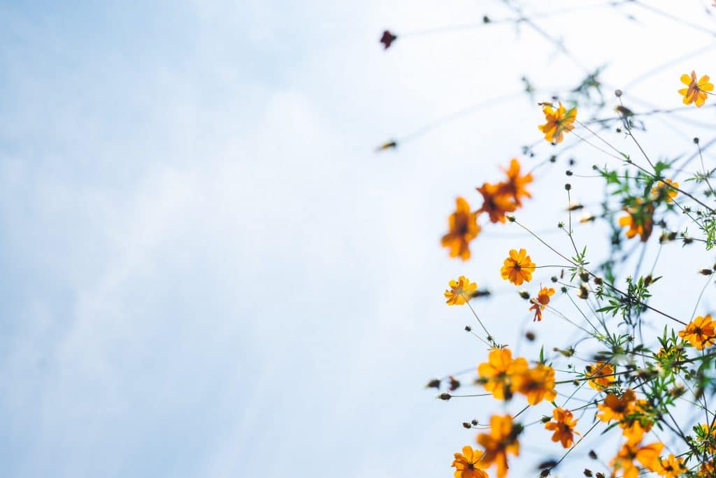 Christianity And Mental Health Awareness Month