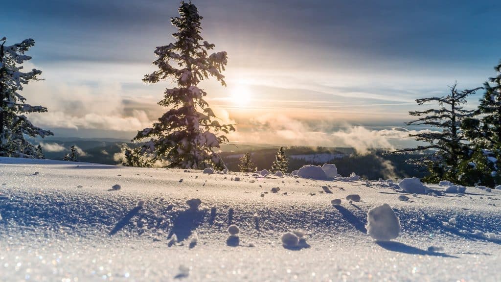 How To Find Peace Within Christmas Chaos