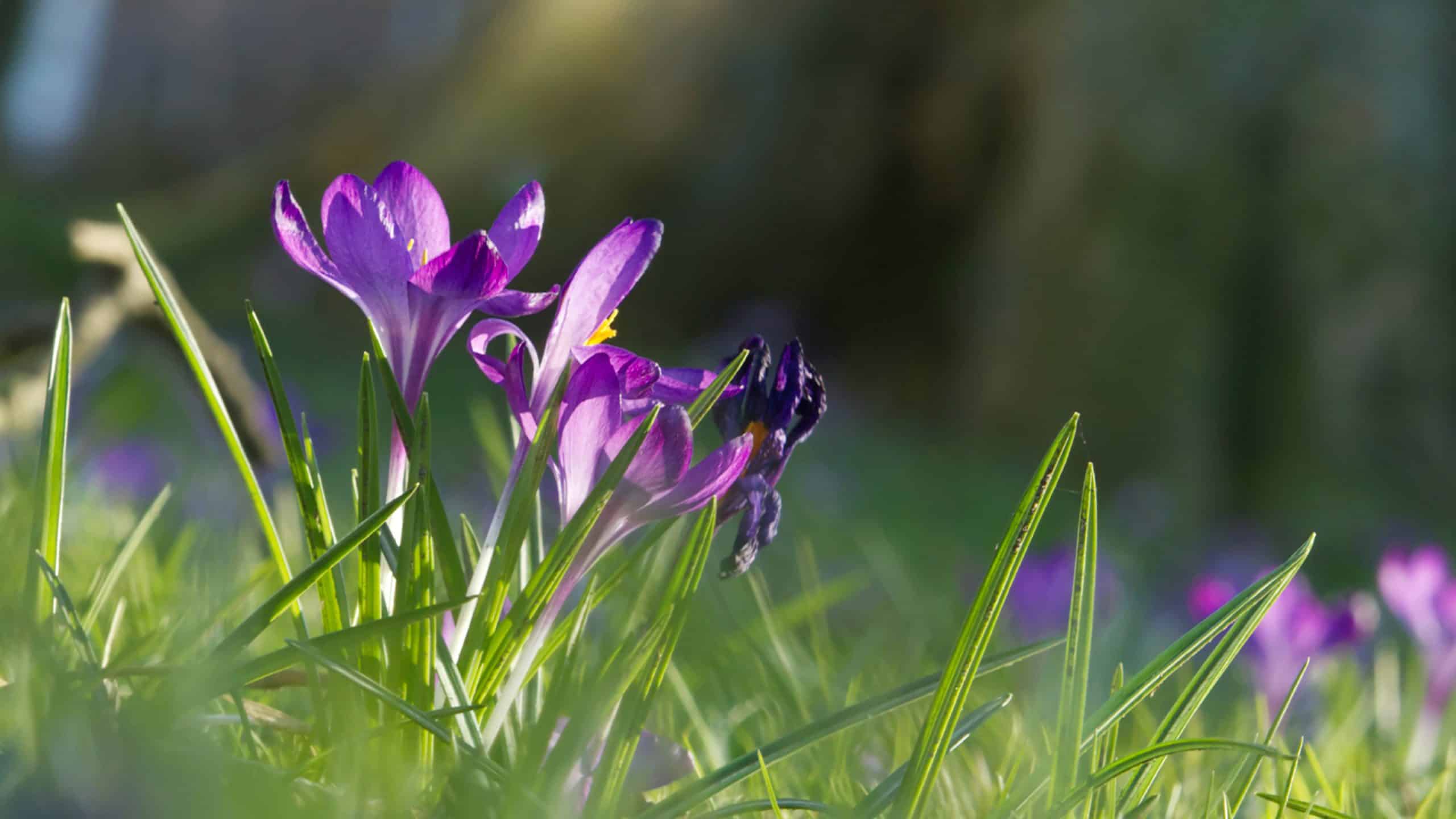 Forgiving What You Can't Forget