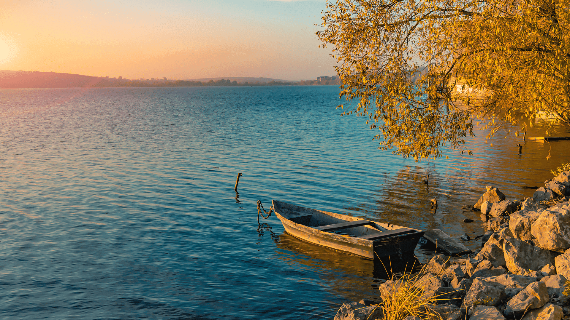 ¿Por dónde empezar a leer la Biblia? l Guía para nuevos creyentes