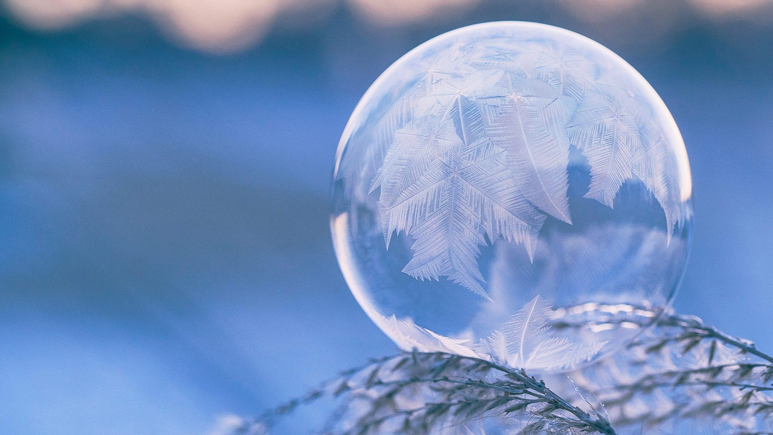 Four Prayers For Advent