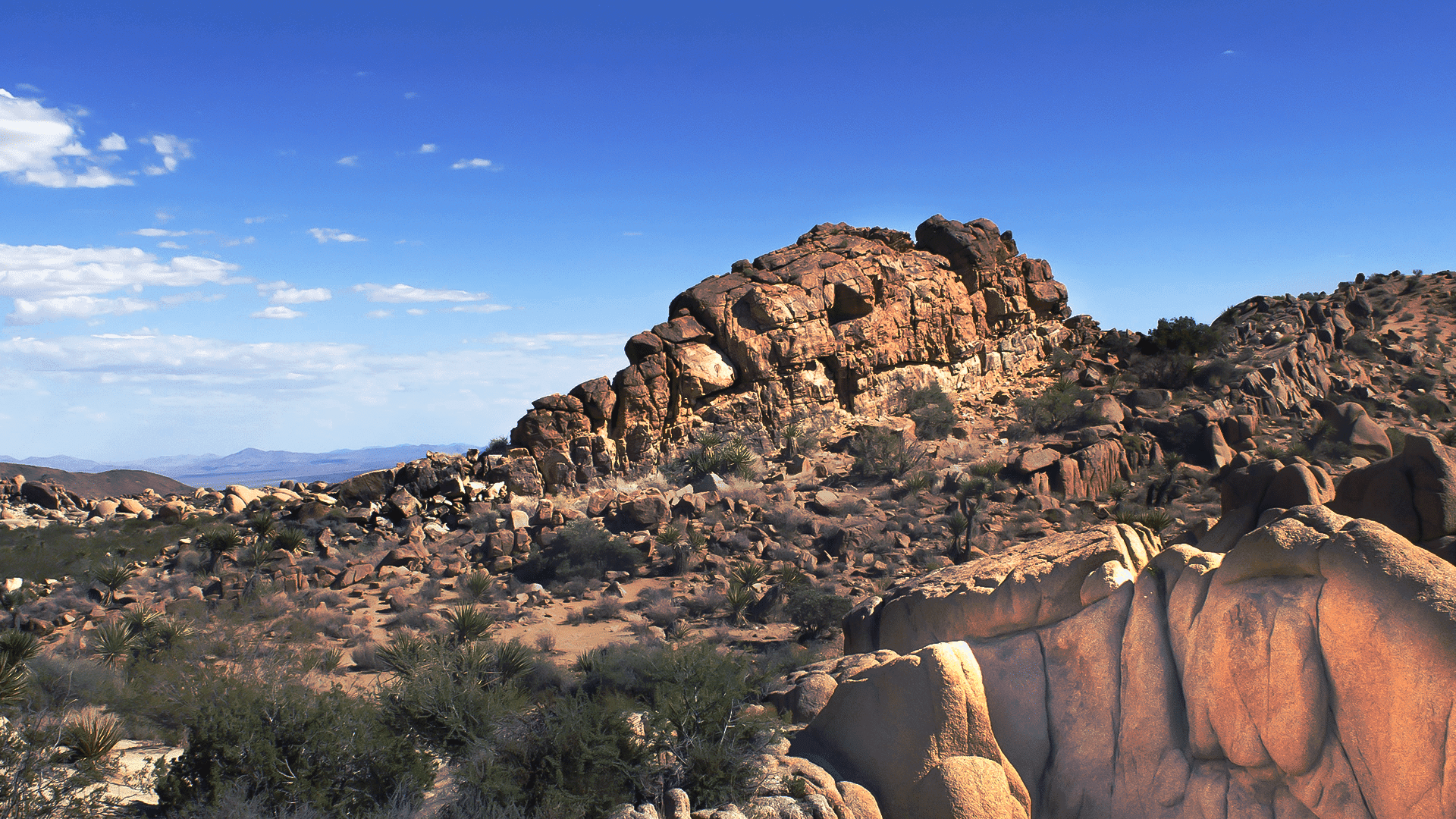 El gozo del Señor es Nuestra Fortaleza