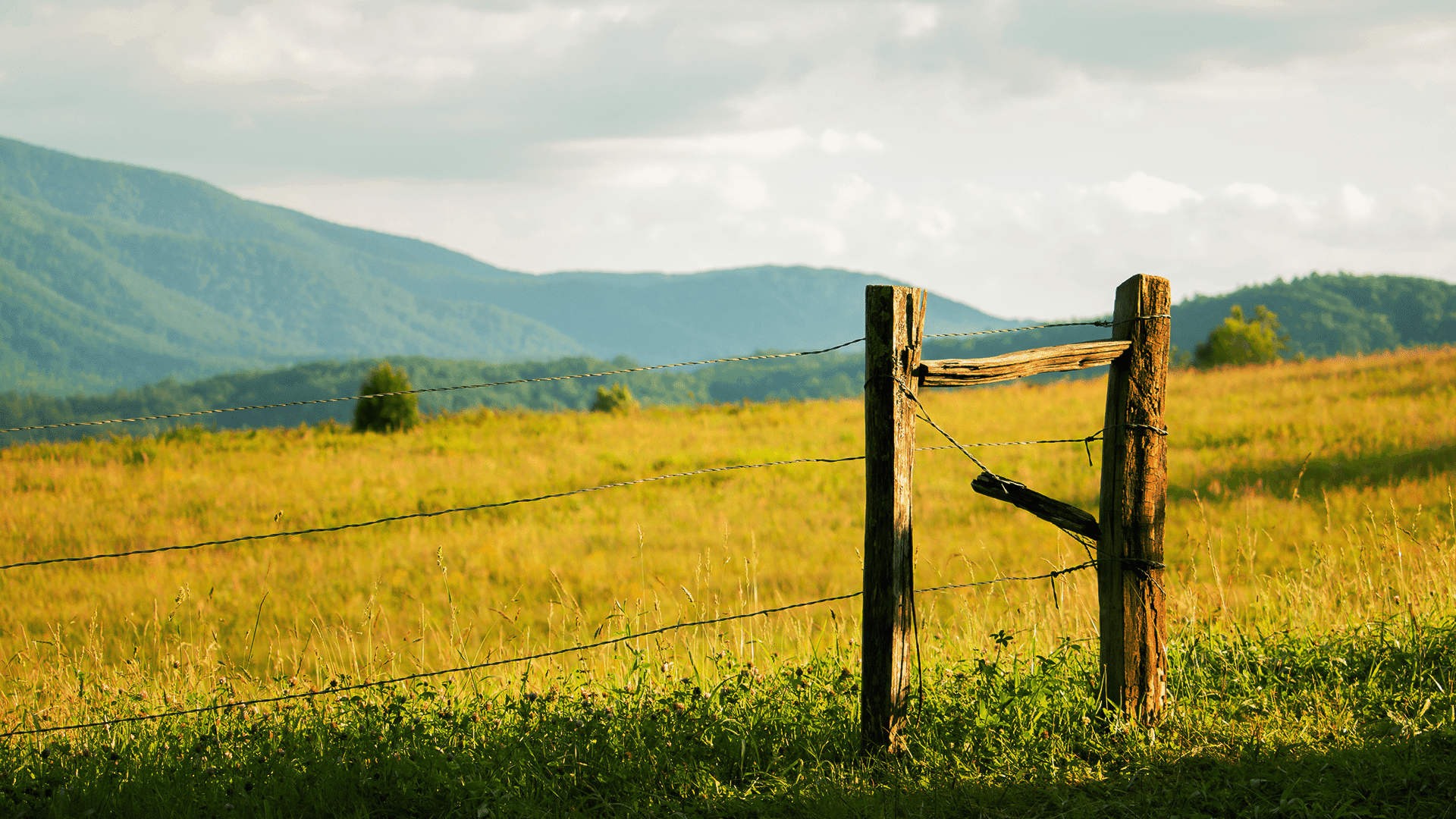 Bible Verses For The Lost: A Journey of Faith and Restoration