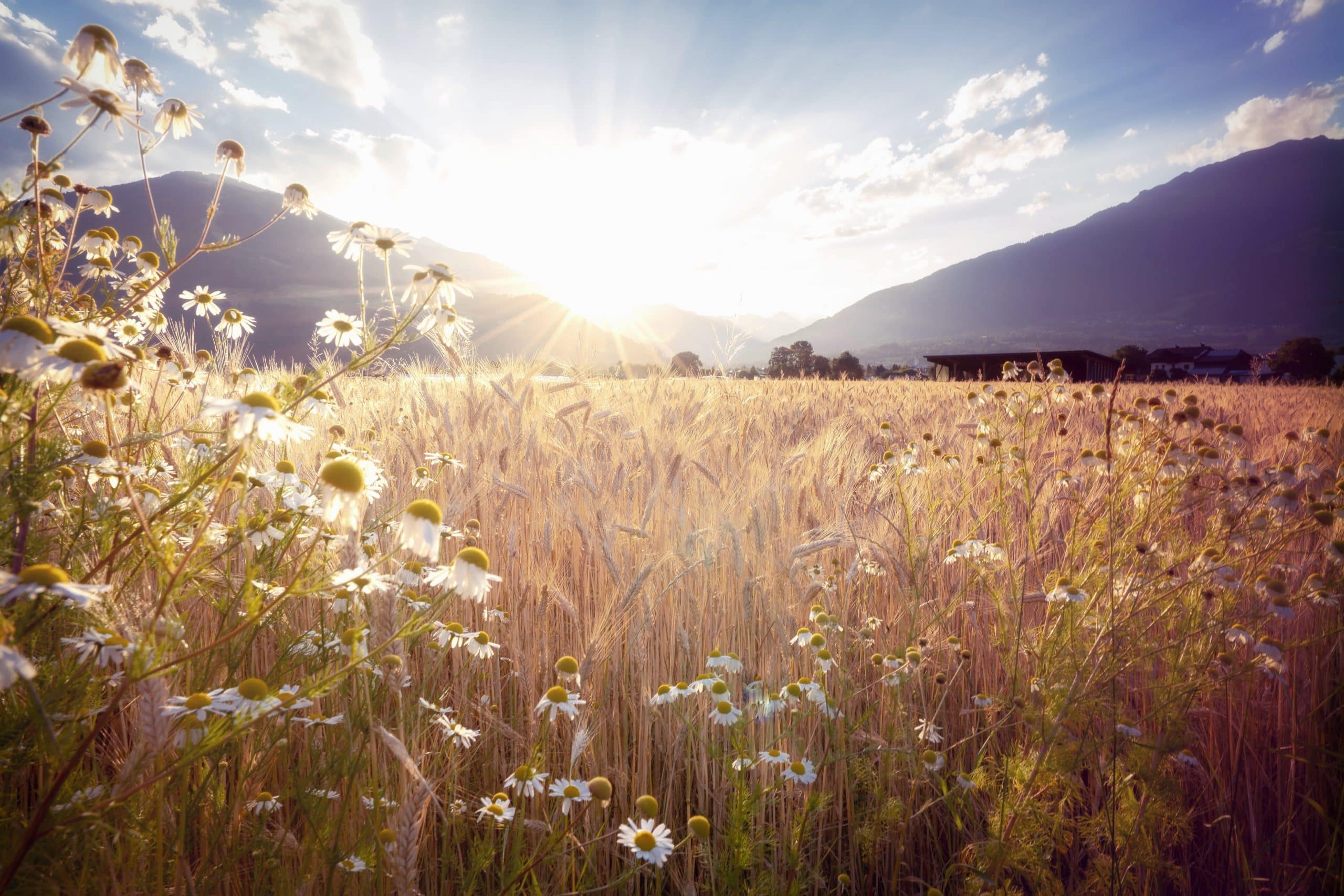 A Prayer For 9/11 To Use This September