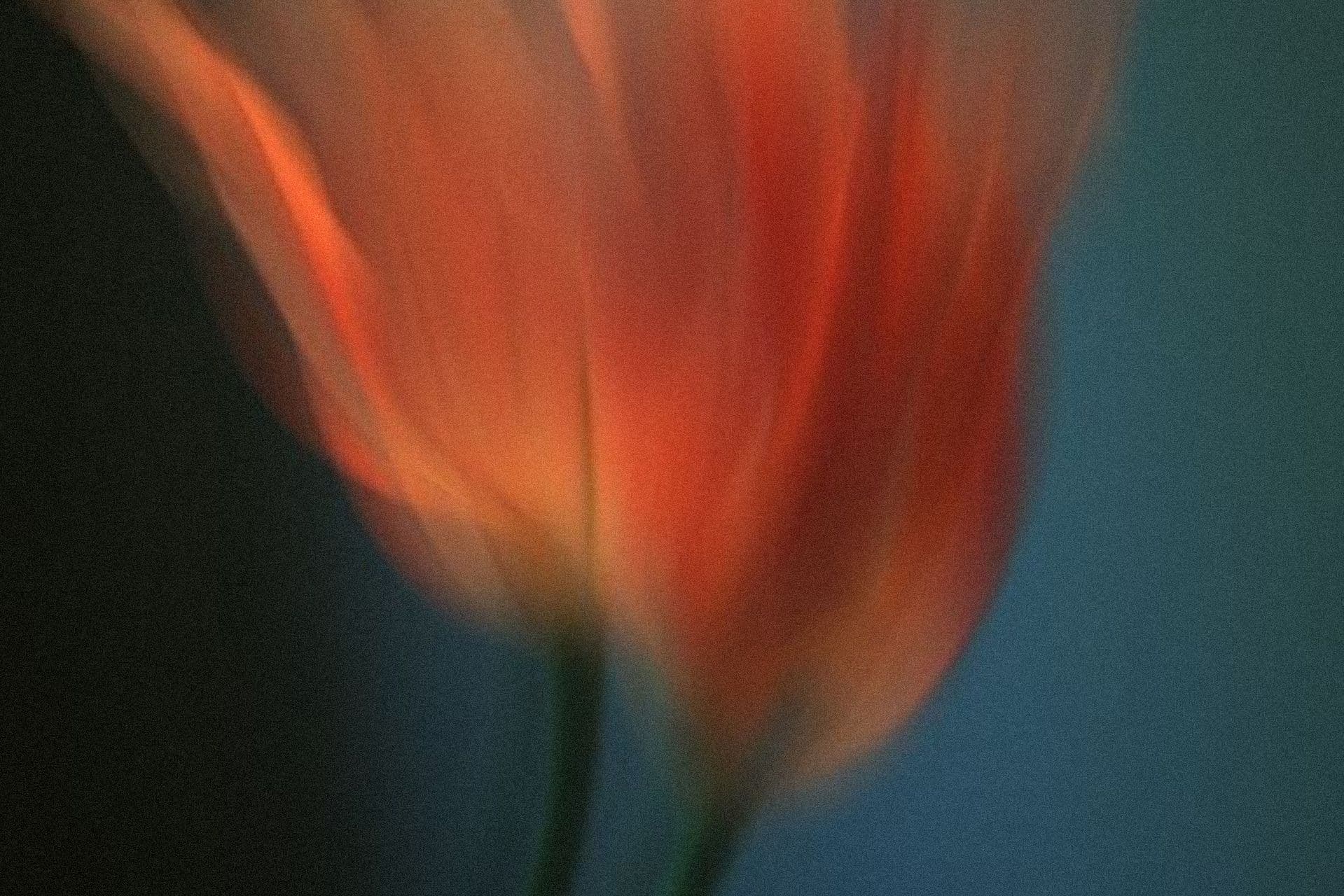 Seven Uplifting Prayers for Women