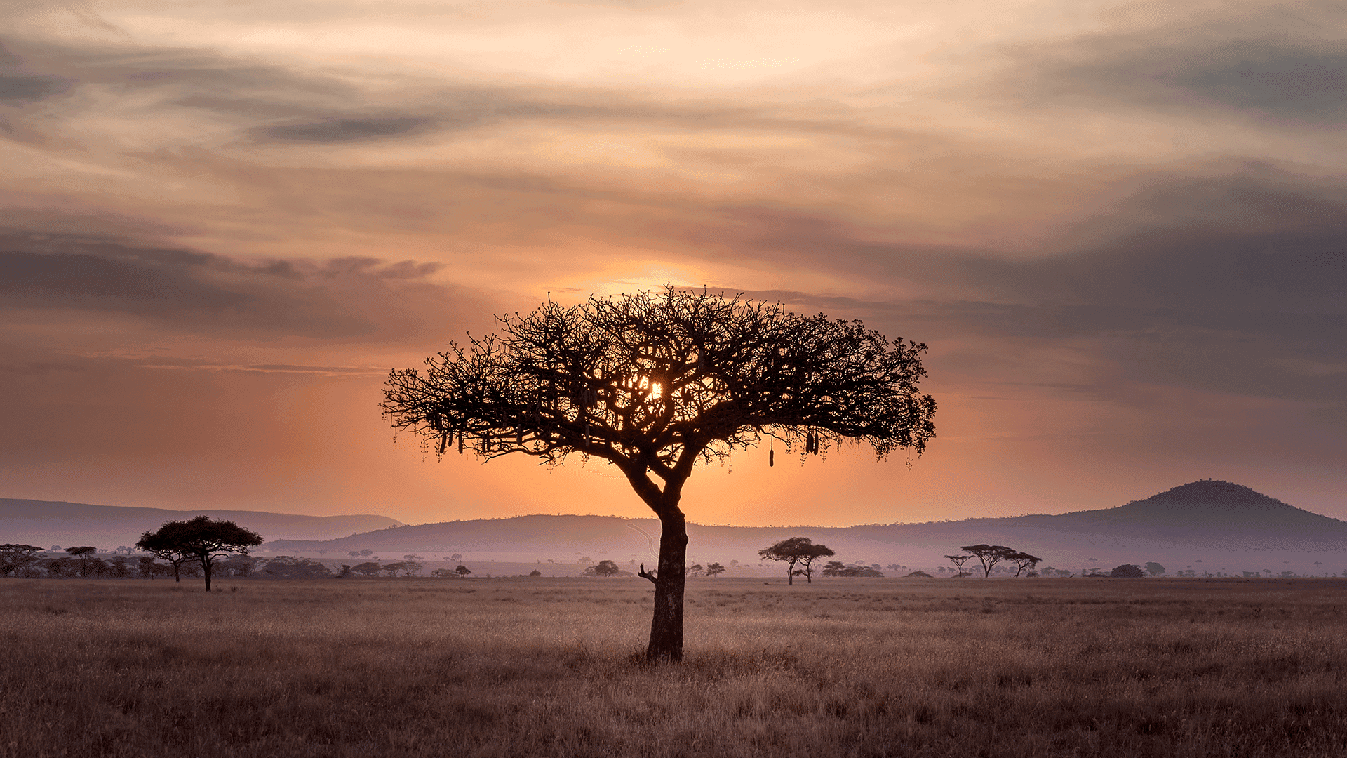 When Was the Bible Written? A Historical Perspective