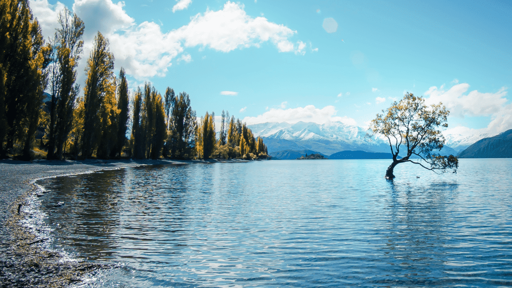 Bible Verses About Forgiveness