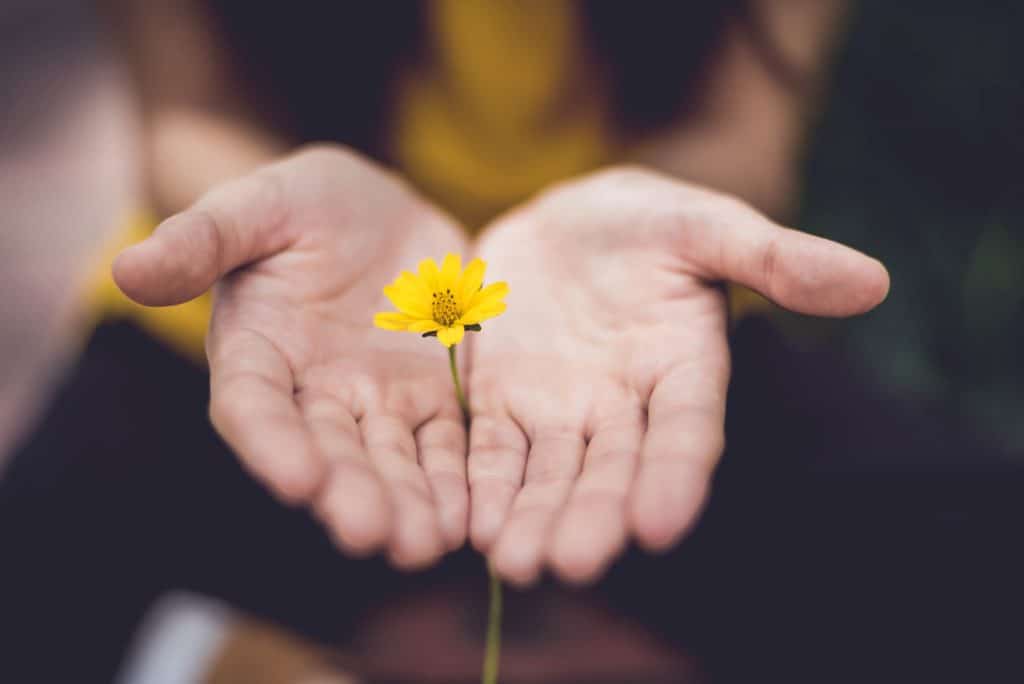 Versículos bíblicos sobre salud y sanidad