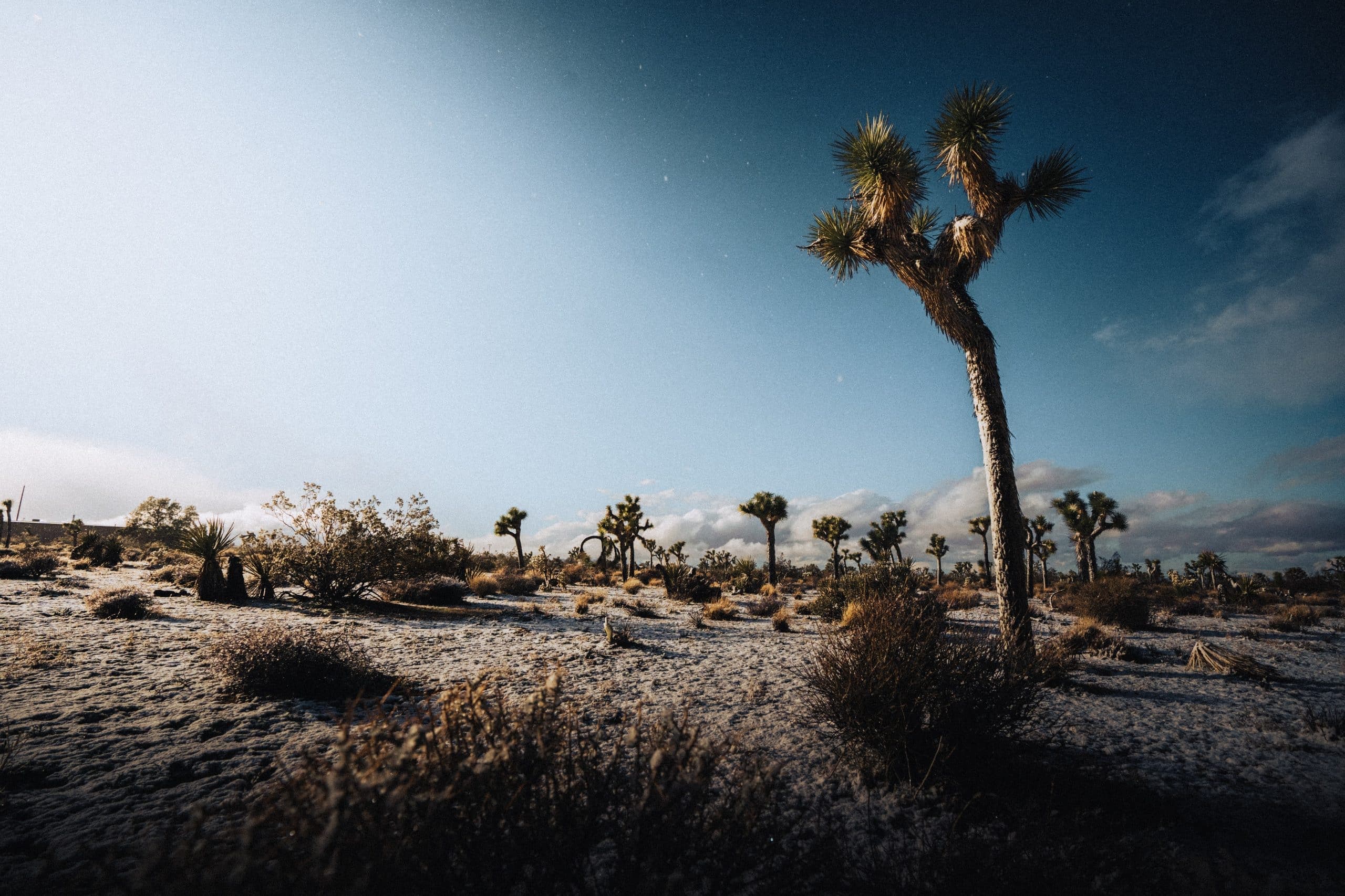 What Does "The Joy of the Lord is My Strength" Mean?