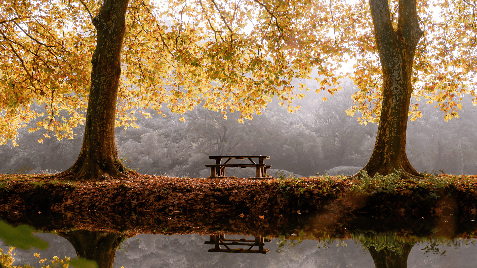 13 Prayers for Happiness: Finding Joy in God's Presence