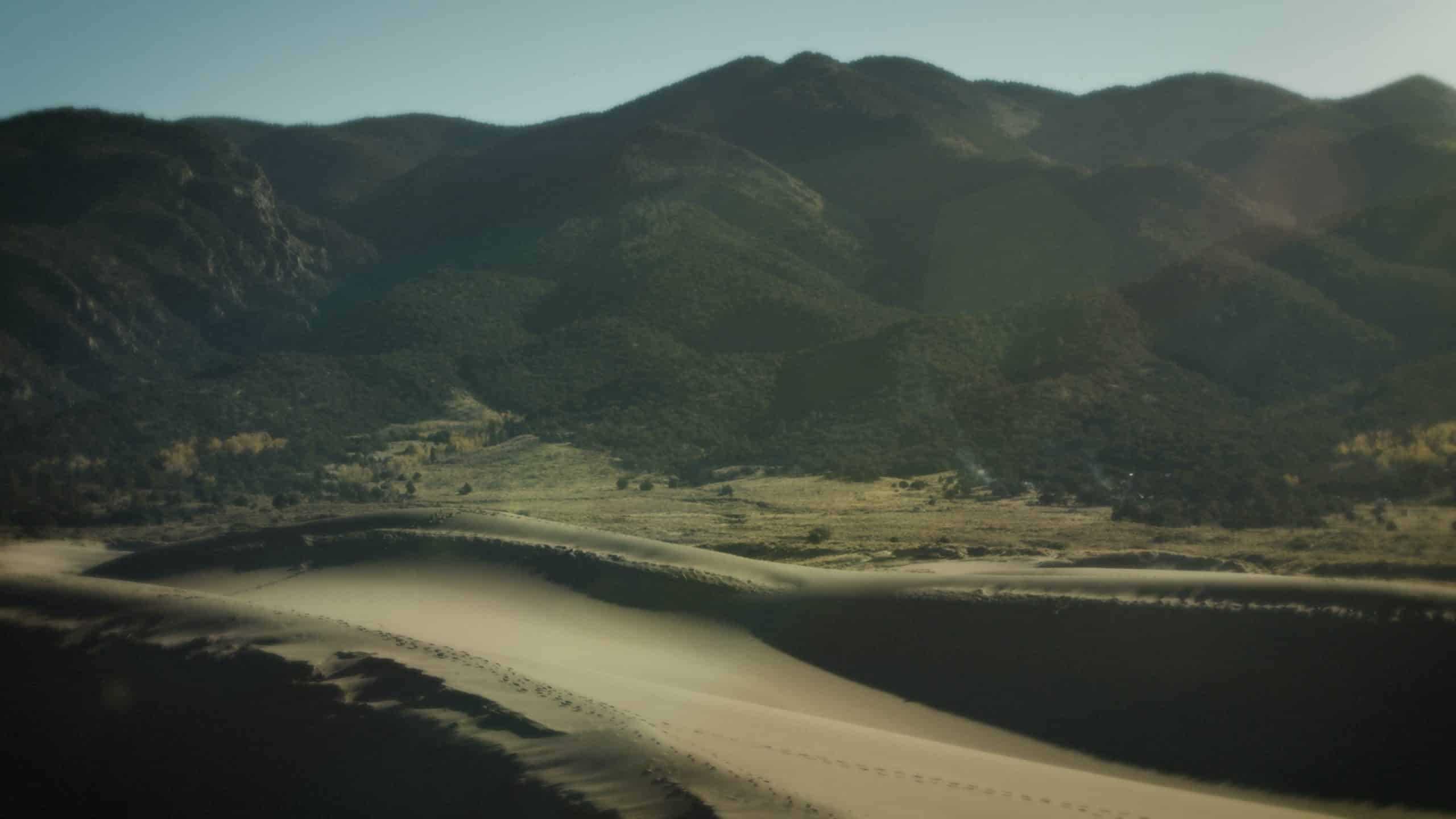 ¿De qué se trata el Viernes Santo?