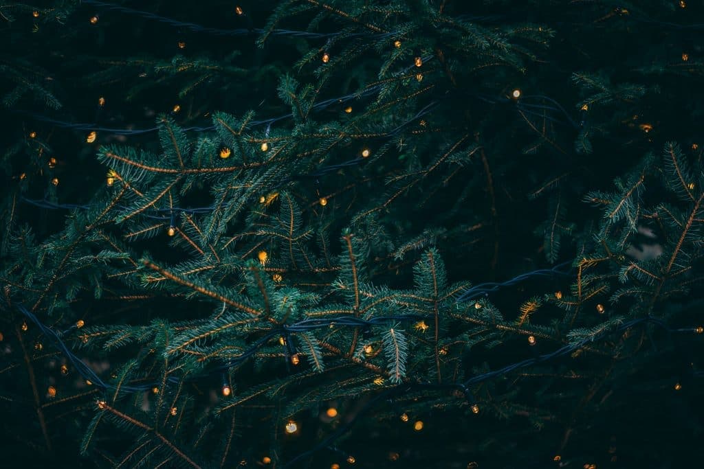 How To Find Peace Within Christmas Chaos