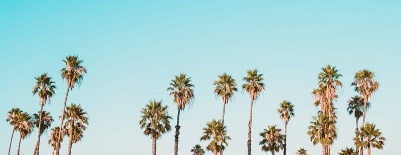 ¿Qué es el Domingo de Ramos?