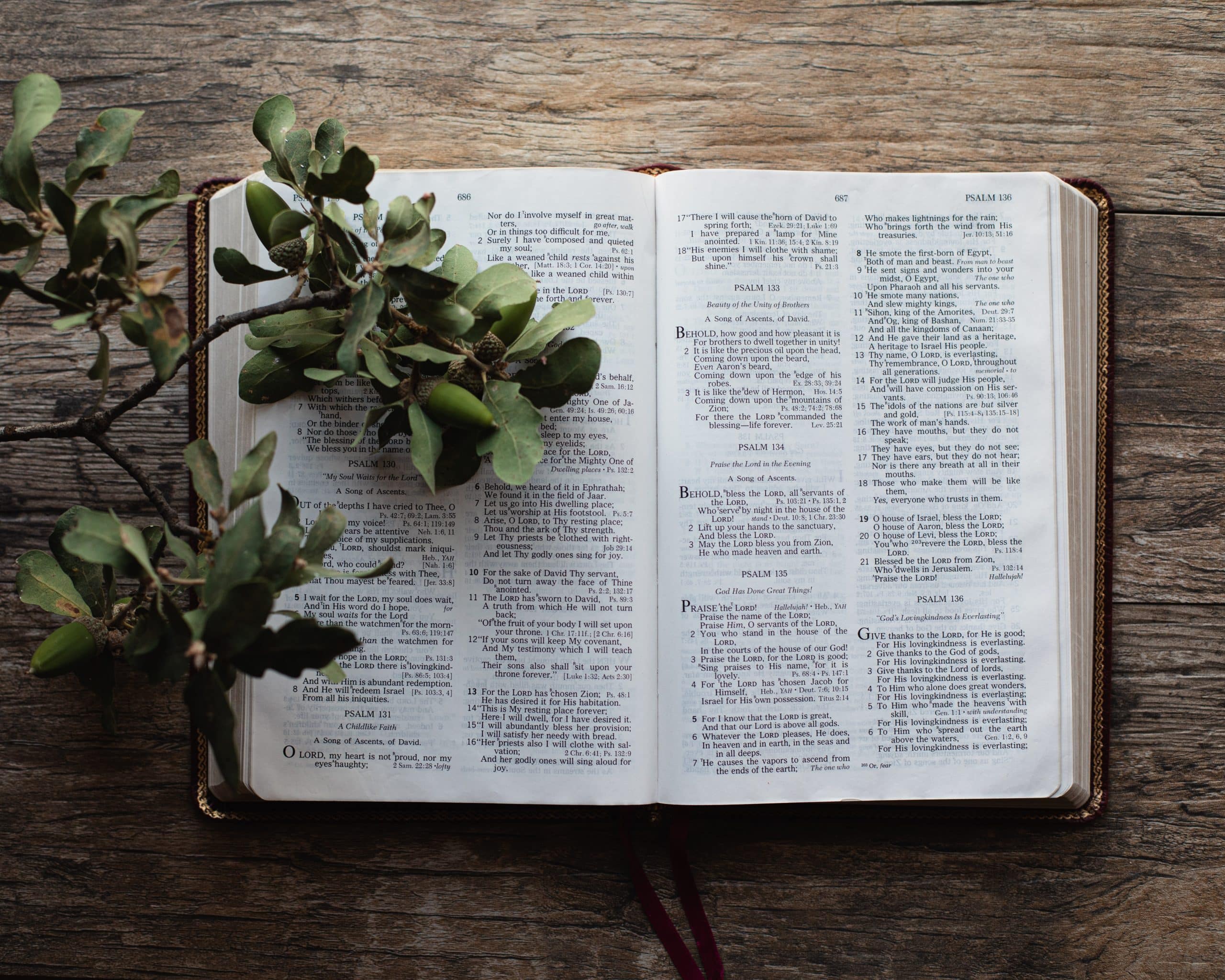 ¿De qué se tratan los devocionales diarios?