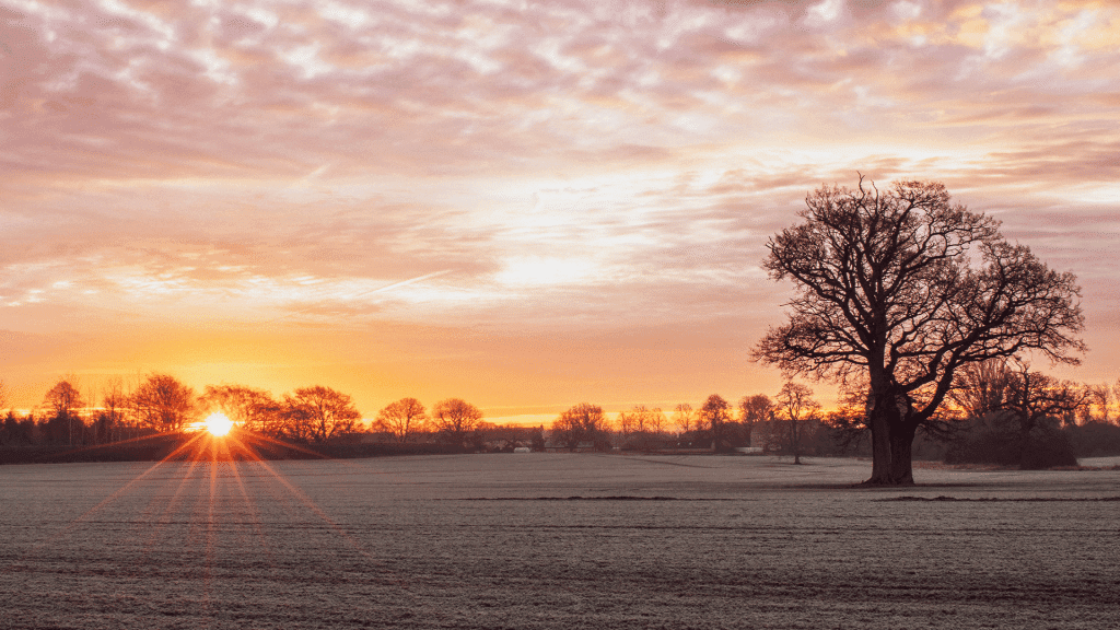 22 Inspiring Bible Verses About Light