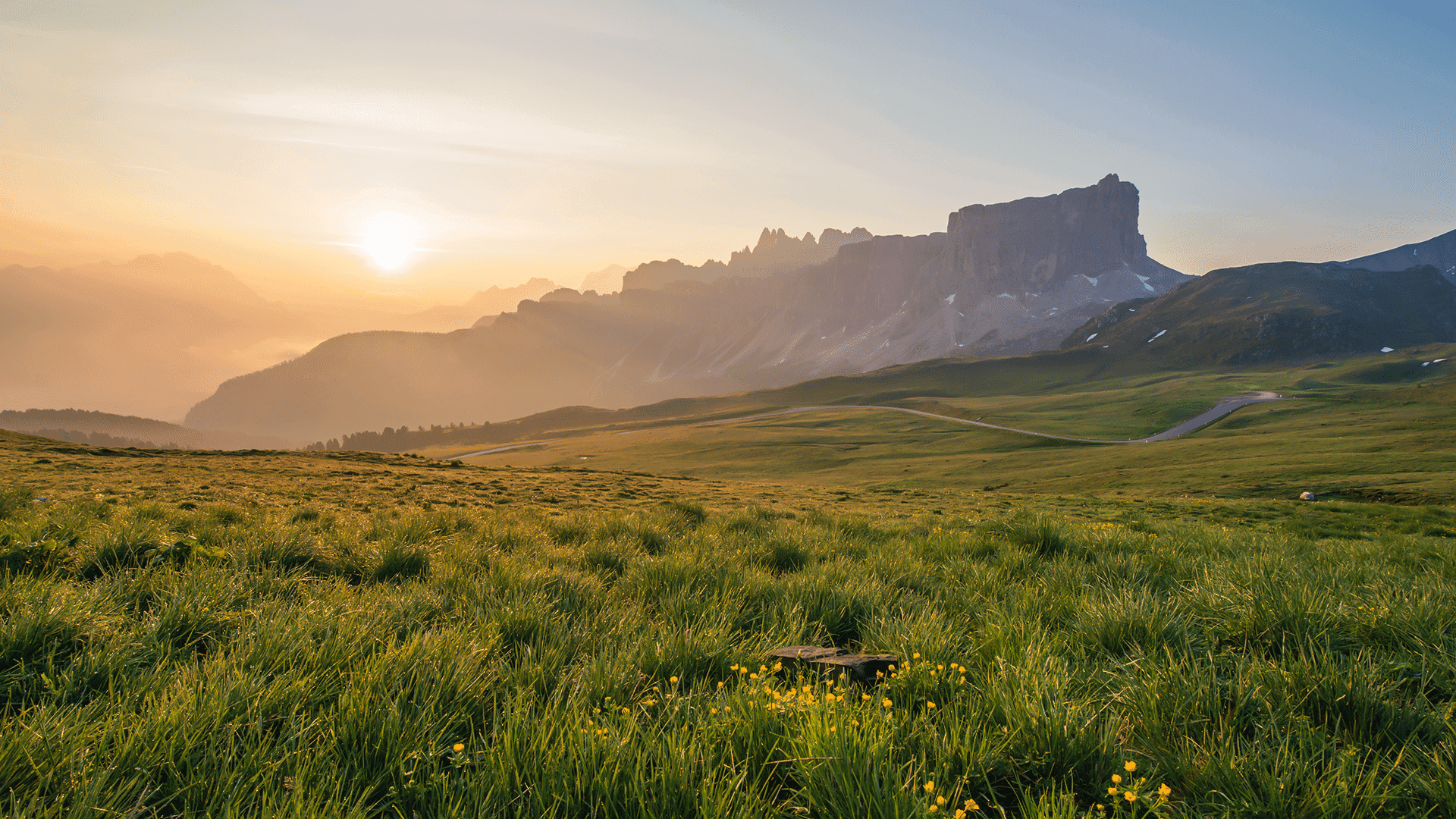 How To Be Held By Hope