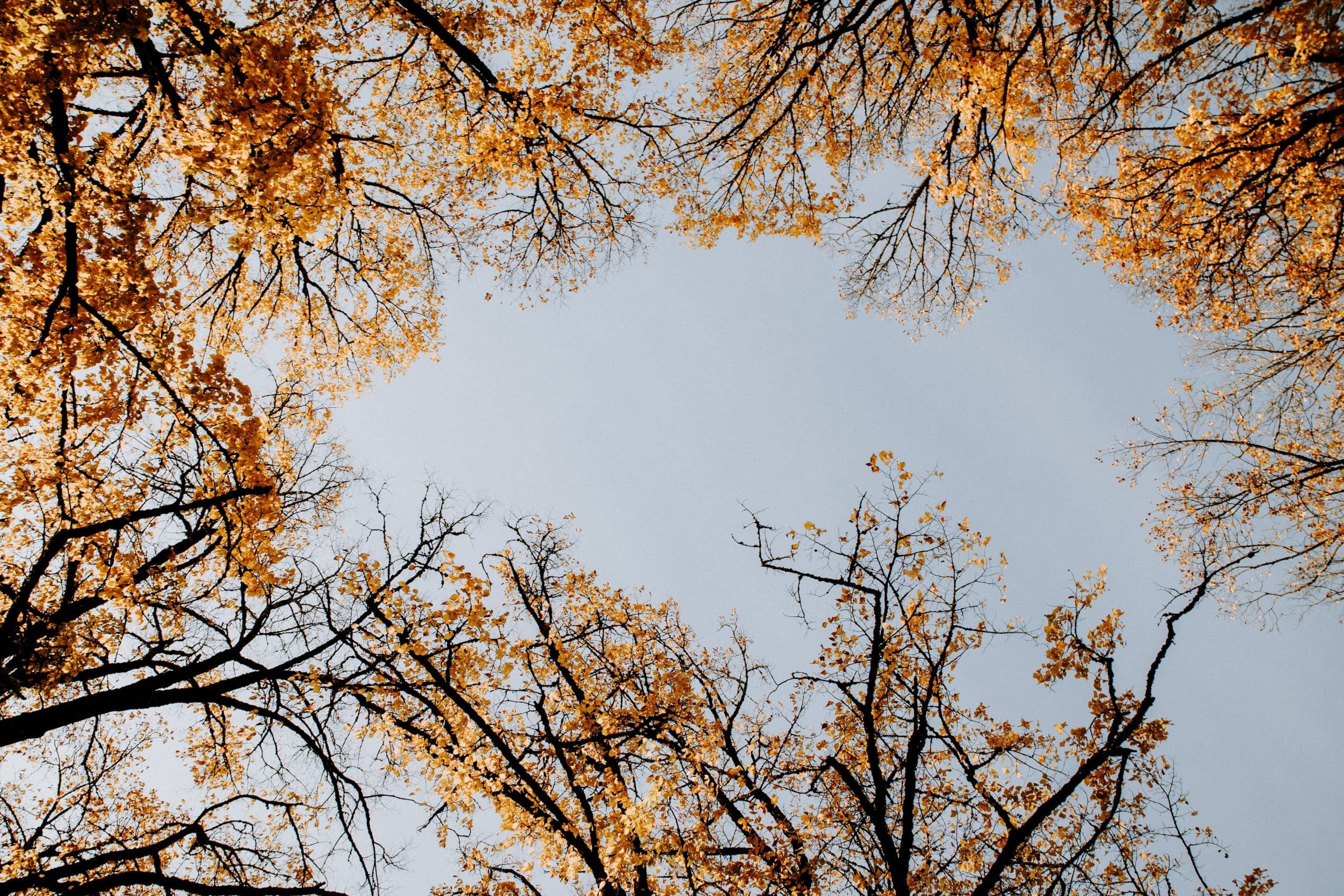 Spiritual Habits That Will Help Your Mental Wellbeing