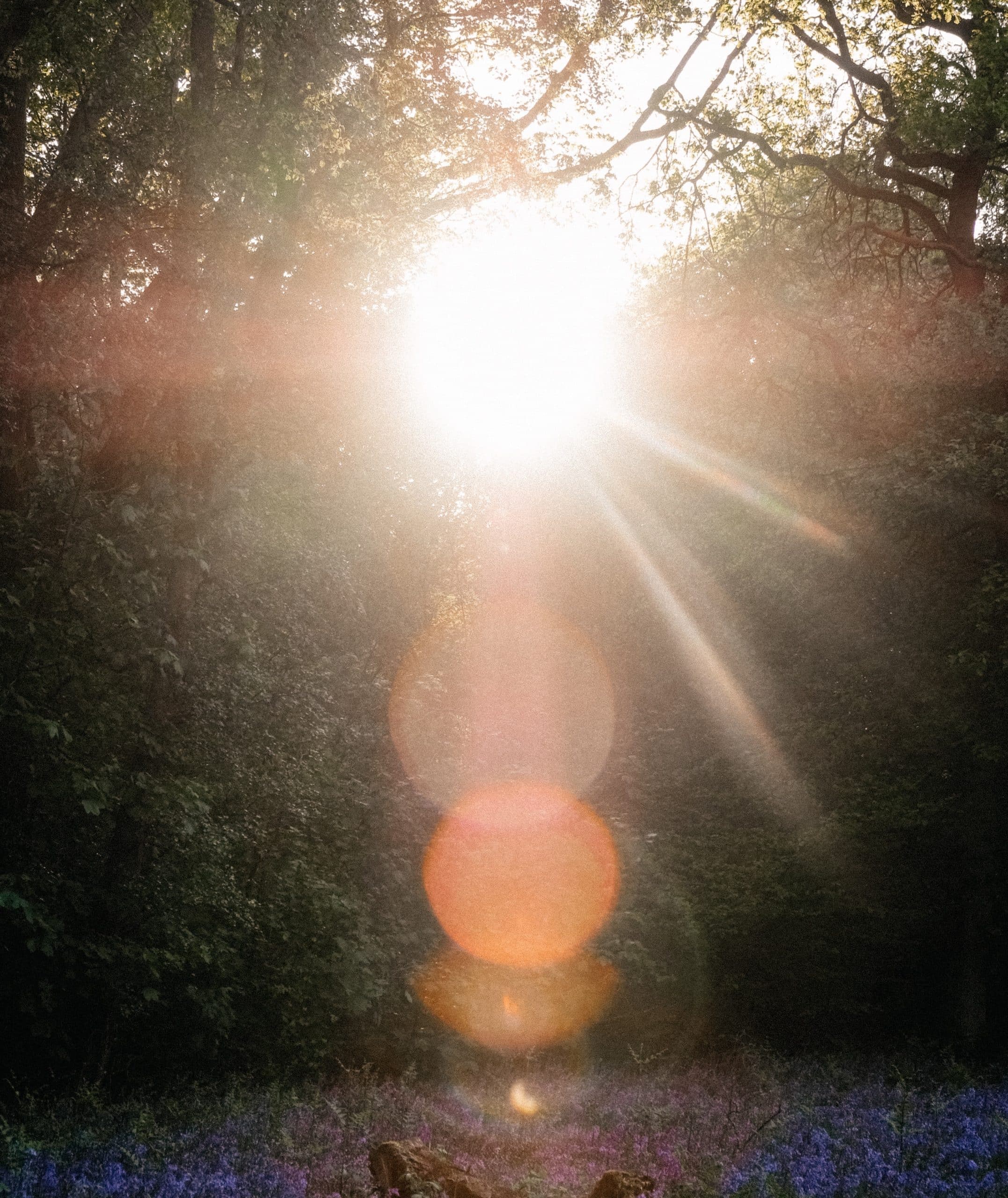 30 Encouraging Bible Verses To Feed Your Soul