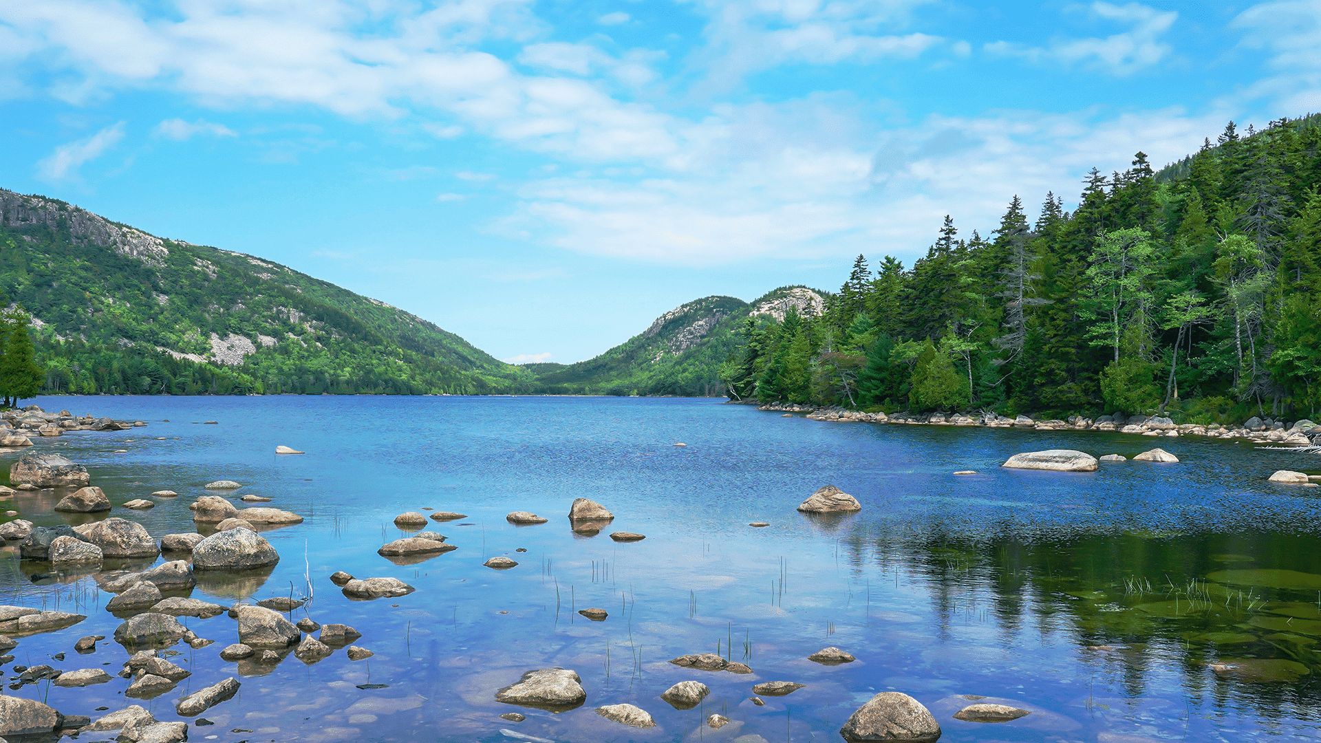 Bible Verses About Freedom: Discover God's Gift of Liberation