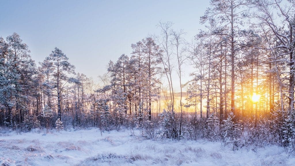Christmas Readings To Inspire You