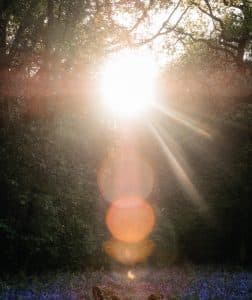 30 versículos bíblicos alentadores para alimentar tu alma