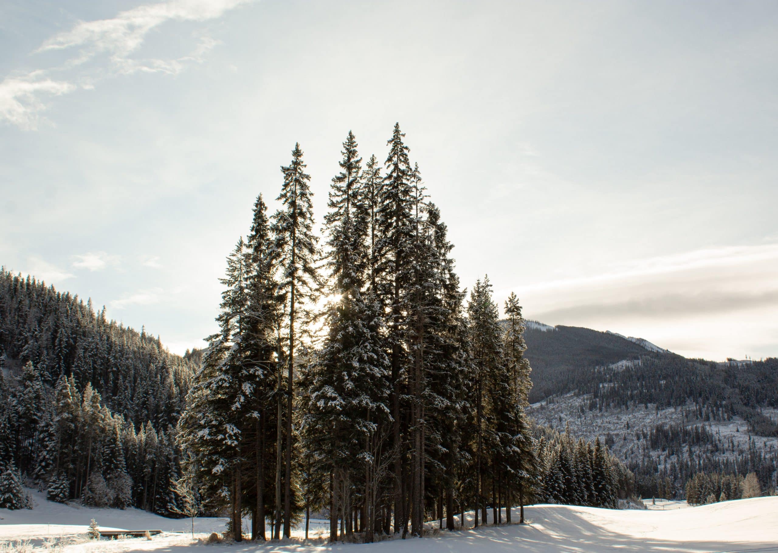 Tackle Christmas Depression with these Eight Helpful Tools